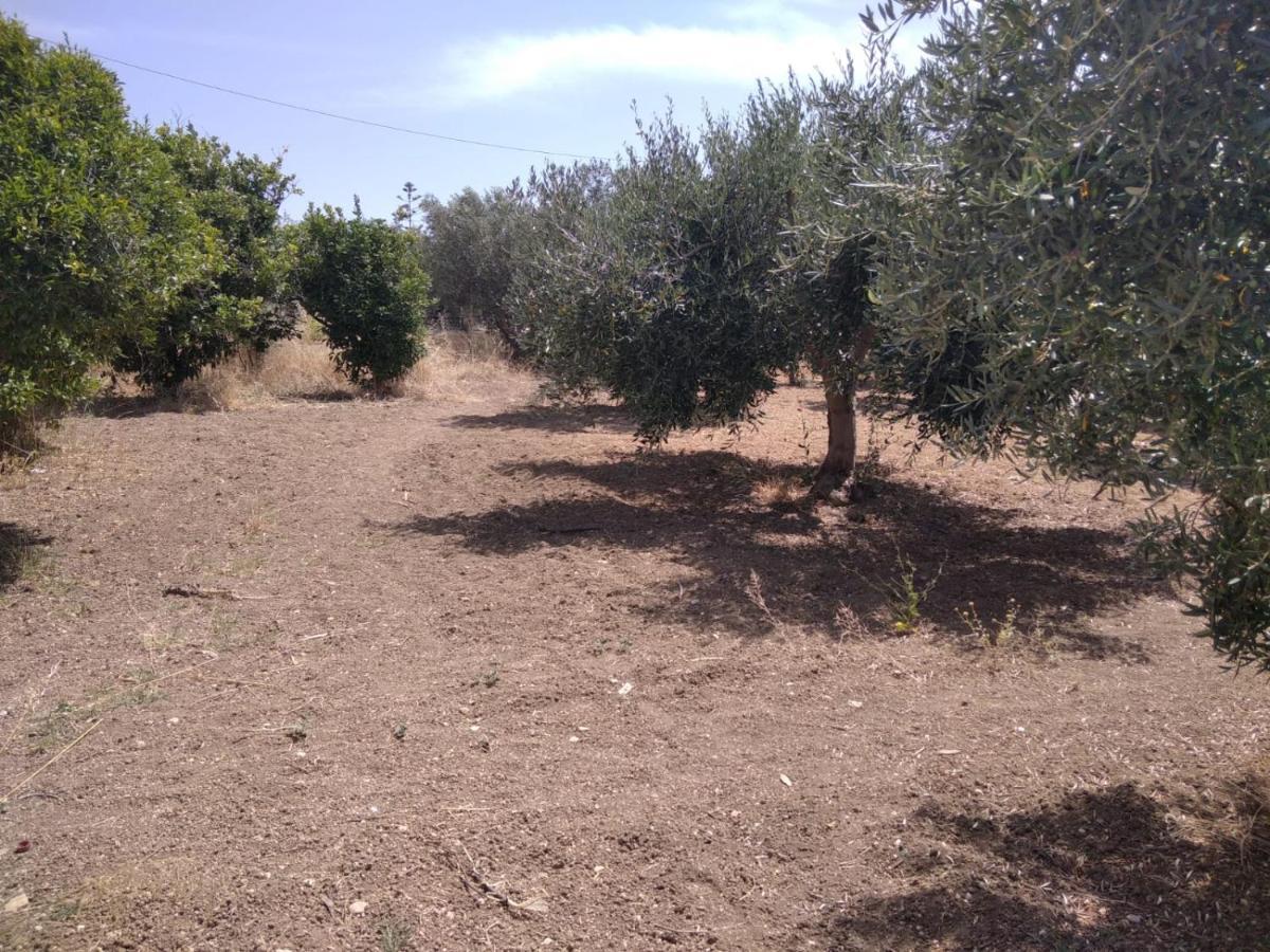 Capinera Bed & Breakfast Agrigento Ngoại thất bức ảnh